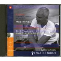 Buddhist teachings by Lama Ole Nydahl (DVD)