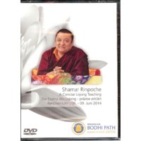 A Concise Lojong Teaching / Die Essenz des Lojong (DVD)