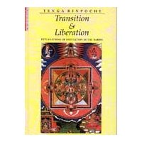 Transition and Liberation