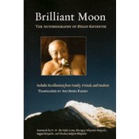 Brilliant Moon