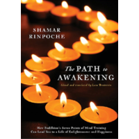 The path to awakening (Paperback)