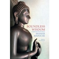 Boundless Wisdom: A Mahamudra Practice Manual