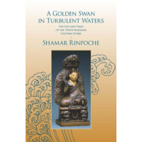 A Golden Swan in Turbulent Waters