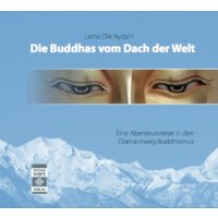Die Buddhas vom Dach der Welt (Hörbuch)